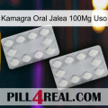 Kamagra Oral Jelly 100Mg Use 17